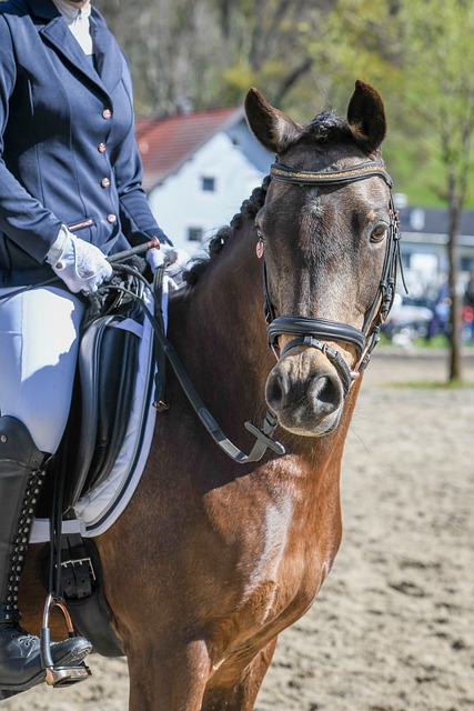 最终成功锁 最终成功锁