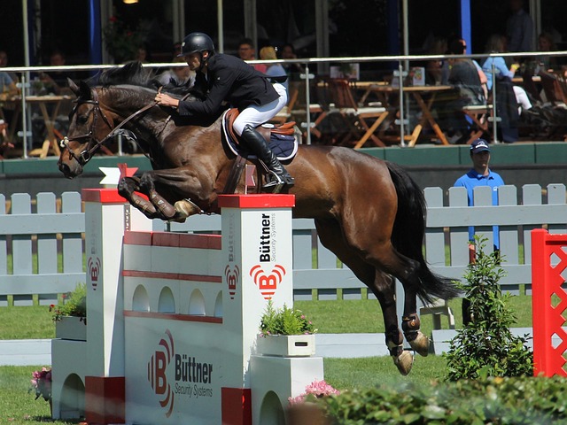 内的顶级足 内的顶级足