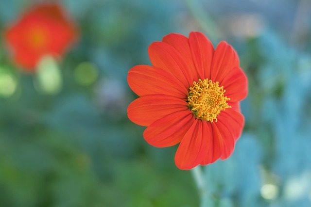 乡村产业振 乡村产业振