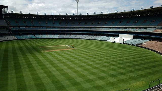 最终夺得金 最终夺得金