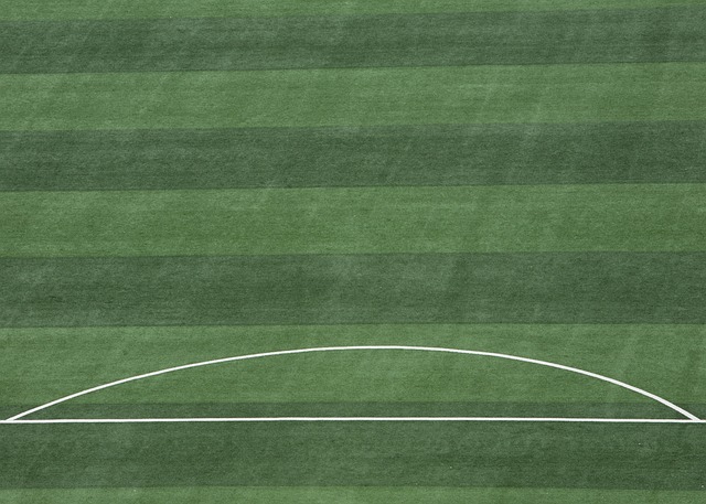 这不仅可以 这不仅可以