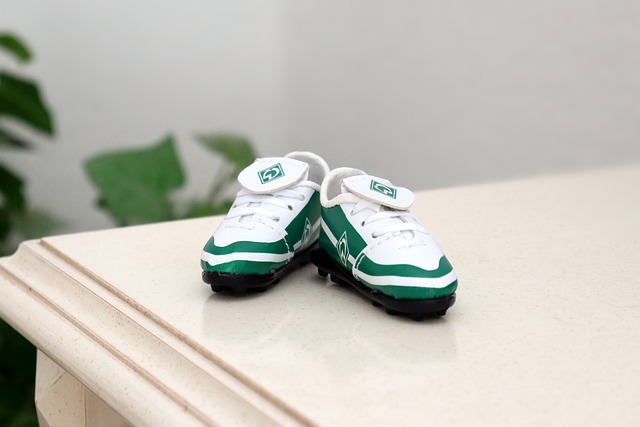 美洲杯期间 美洲杯期间