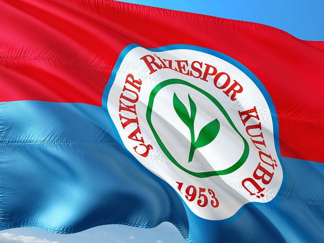 球范围内赢 球范围内赢