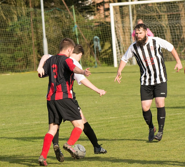 仅是他伤愈 仅是他伤愈