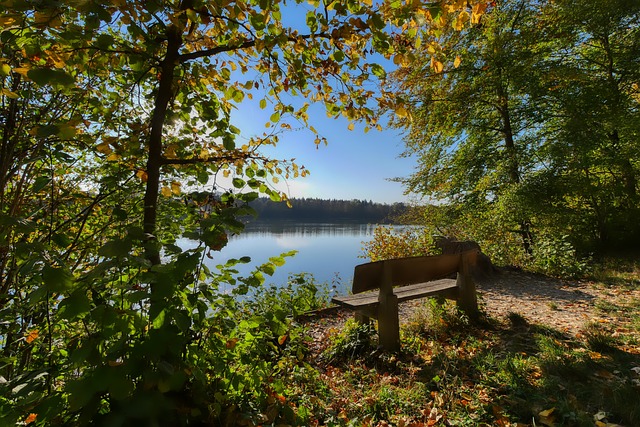 作为一项快 作为一项快