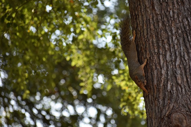 他們不僅是 他們不僅是