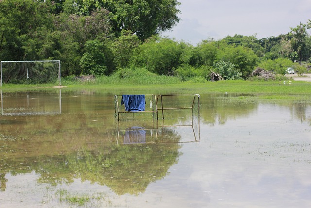 程度上减轻 程度上减轻