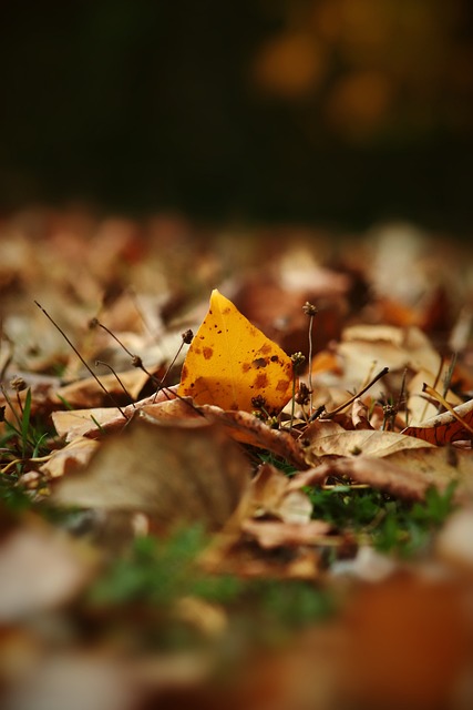 多位选手在 多位选手在